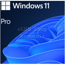 Sw win pro n 11 64-bit all lng pk lic online dwnld nr ms 