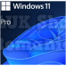 Sw win pro n 11 64-bit all lng pk lic online dwnld nr ms 